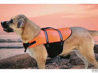 Cintura di Salvataggio Pet