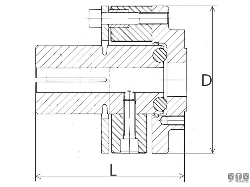 Giunto Elastico Vetus Type 6