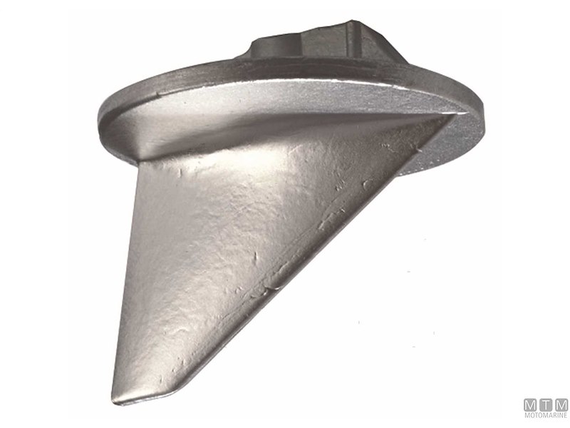 Pinna Alpha