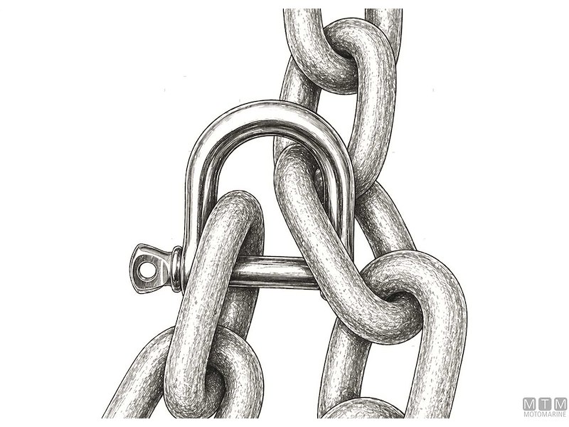 Grillo Largo Inox Card