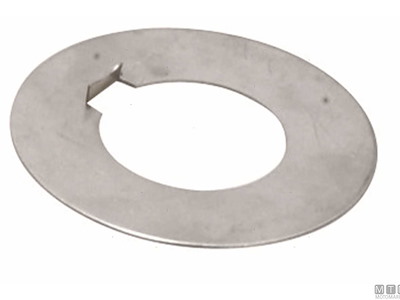 Rondelle di Sicurezza Inox