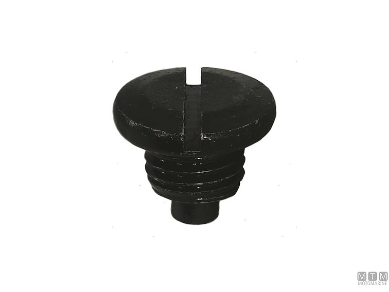 Vite Scarico Olio per Motori Suzuki