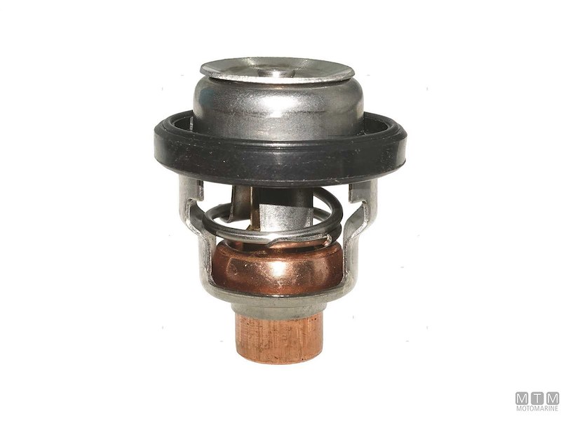 Termostato per Motori Suzuki