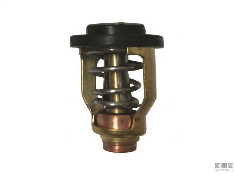 Termostato per Motori Suzuki