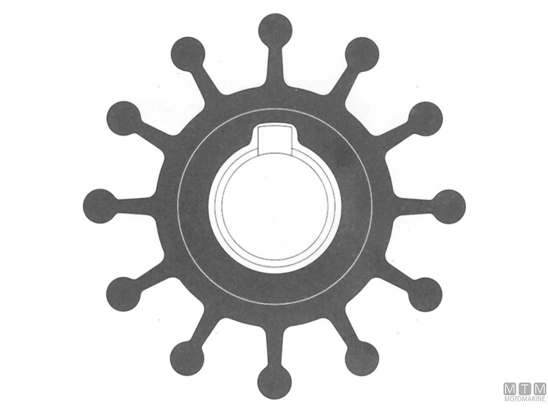 Giranti SPX Johnson D50-57 mm