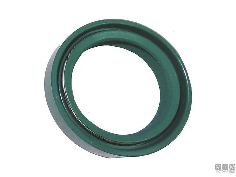 Guarnizioni Paraolio Asse/Cambio per Motori Volvo Penta