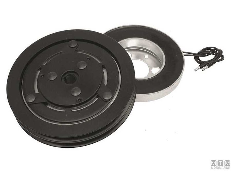 Pompa con Frizione Magnetica SPX Johnson F8B-5000 VF