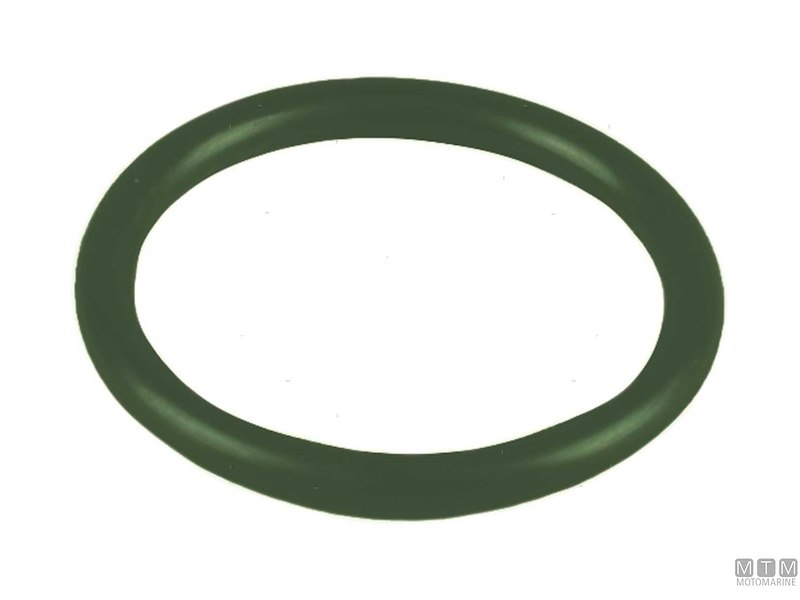 O-Ring per Tenuta in Battuta in FPM