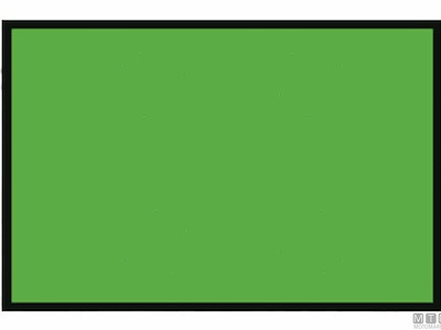 Bandiera di Segnalazione Verde