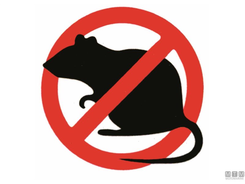 DISCO ANTIRATTO 1645MM                